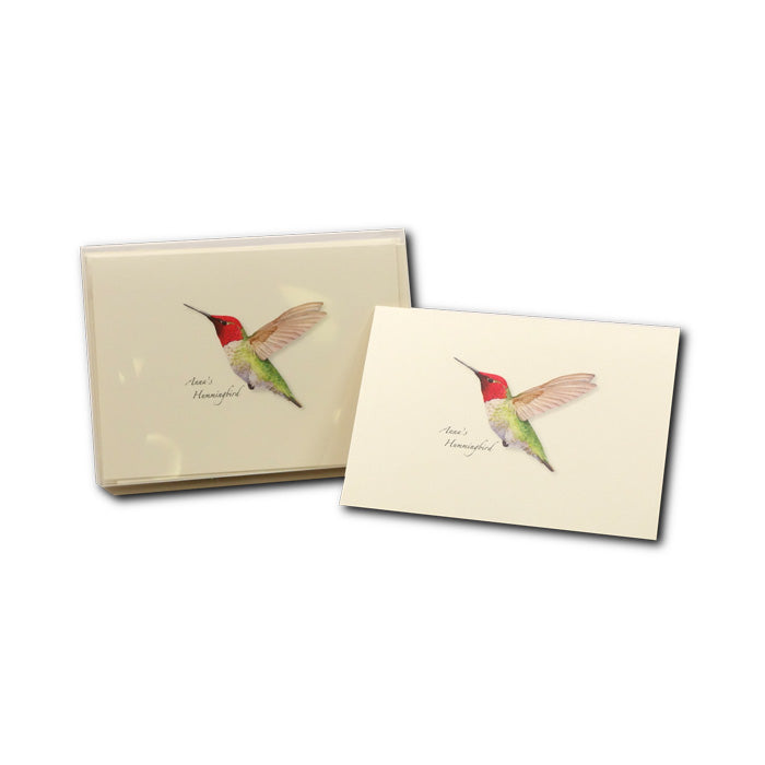 Anna's Hummingbird Greeting Cards Set - Beautiful Bird Note Cards for Thank You, Birthday & Holiday Cards - Perfect for Nature Lovers & Bird Watching Enthusiasts