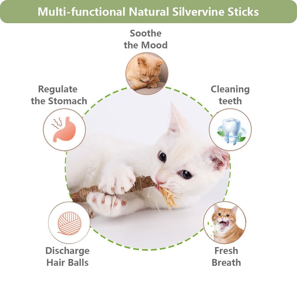 3 PCS Natural Silvervine Sticks for Cats - Dental Chew Toys for Kittens & Aggressive Chewers, Catnip Alternative for Teeth Cleaning | Portable Cat Chew Sticks for Travel & Home Use