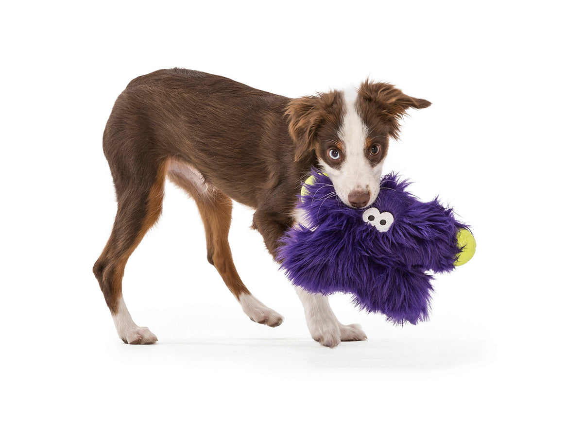 West Paw Design Fergus Dog Toy - Durable Chew Toy for Aggressive Chewers, Interactive Fetch & Tug-of-War Play - Perfect for Large & Medium Dogs - Indoor & Outdoor Use