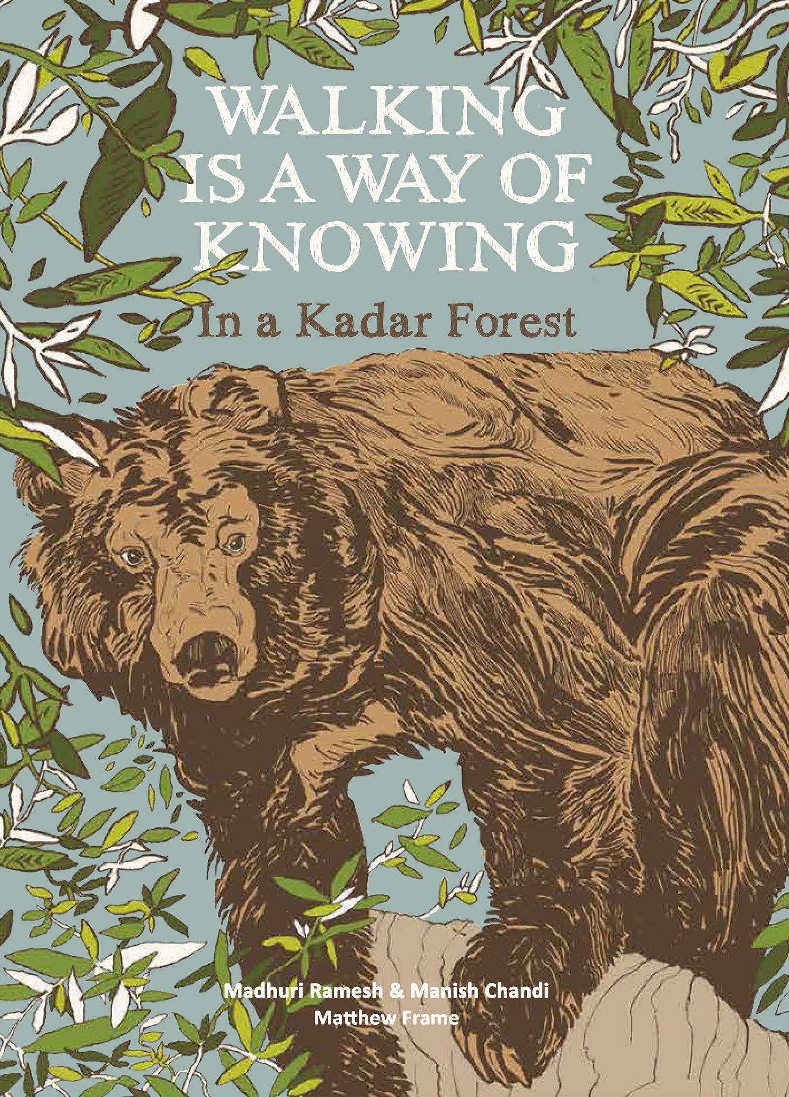 Walking is a Way of Knowing: Exploring Wisdom in the Kadar Forest - Nature Walks, Cultural Discovery & Forest Meditation Guide