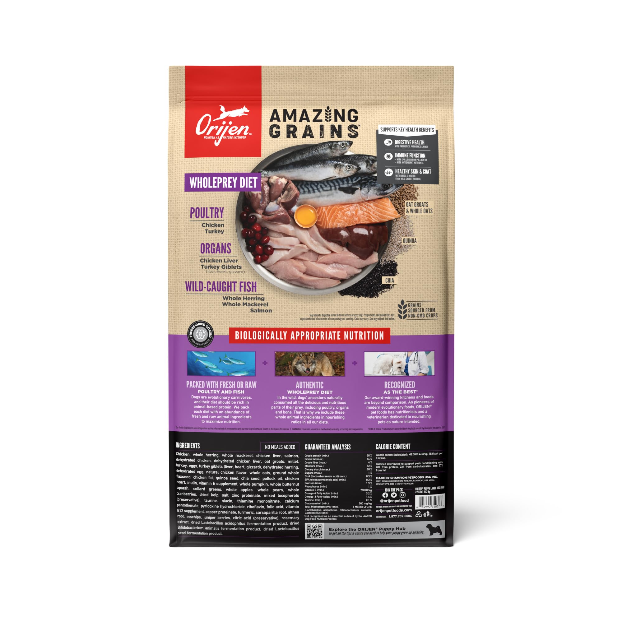ORIJEN High Protein Dry Dog Food for Large & Giant Puppy Breeds - Grain-Free Puppy Food with Fresh Ingredients, 22.5lb Bag - Perfect for Growing Large Breed Puppies' Muscle Development & Bone Health
