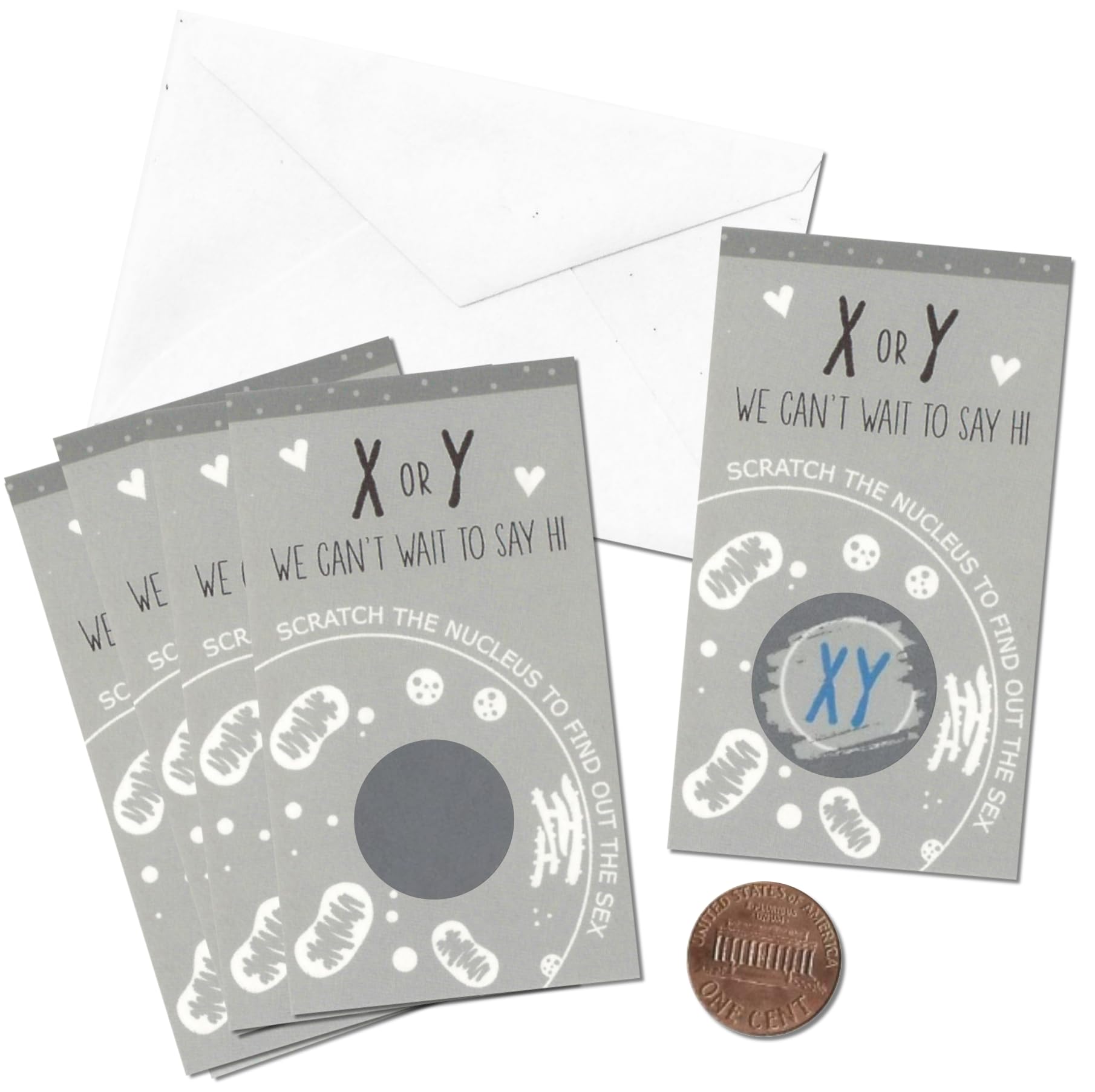 X or Y Chromosome Science Gender Reveal Scratch Cards - Pack of 24 Baby Announcement Cards for Gender Reveal Parties, Baby Showers & Pregnancy Announcements (Male Edition)