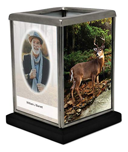 Forest Retreat Theme