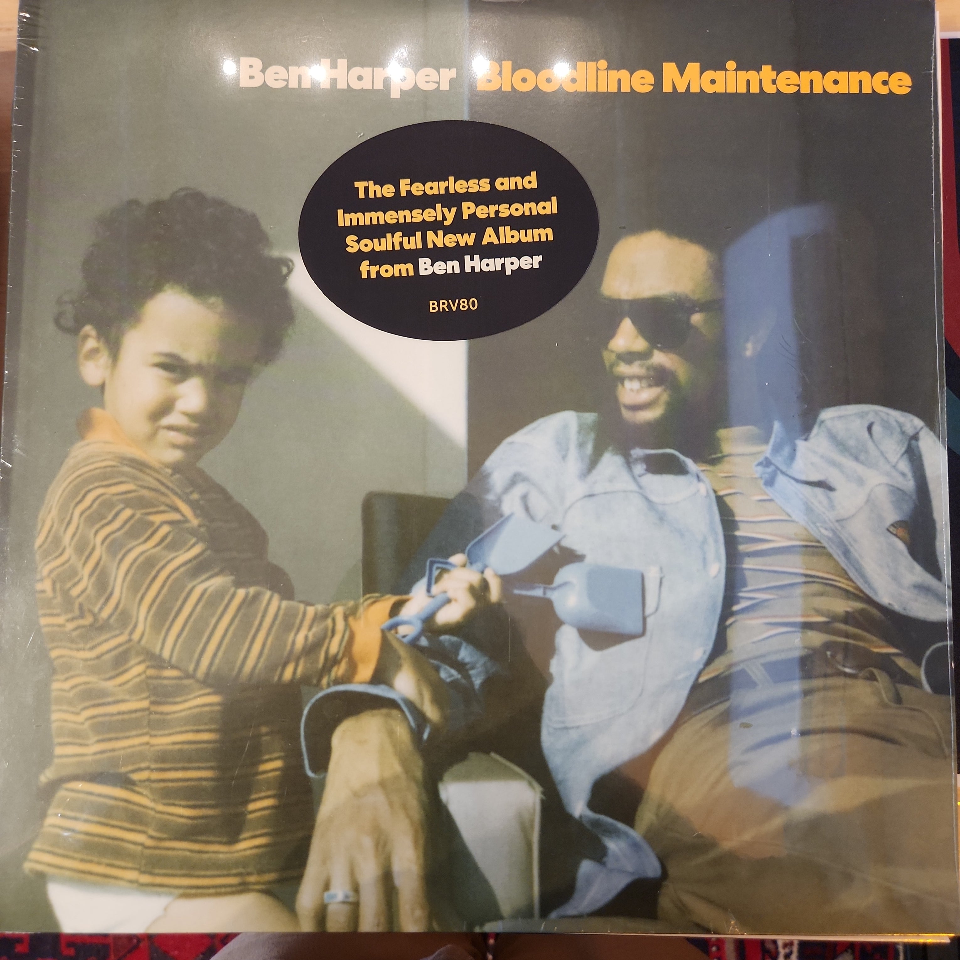 Ben Harper Bloodline Maintenance Vinyl LP Record – Classic Rock & Blues Music for Home Listening & Vinyl Collectors