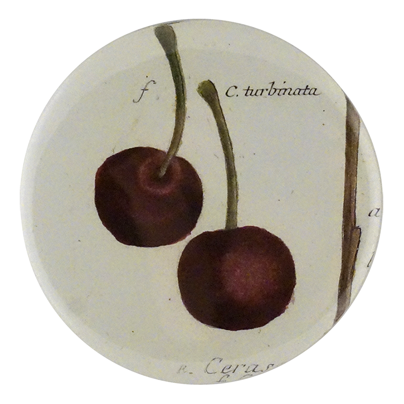 MB C Turbinata PNG - High-Quality Digital Image for Print, Design & Decor | Perfect for Wall Art, Scrapbooking & Digital Projects