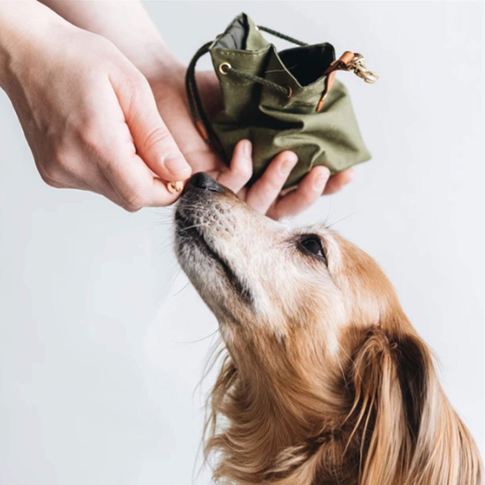 Portable Dog Treat Pouch for Training - Hands-Free Dog Leash Treat Bag with Clip - Snack Storage Holder for Walks & Outdoor Adventures (Green)