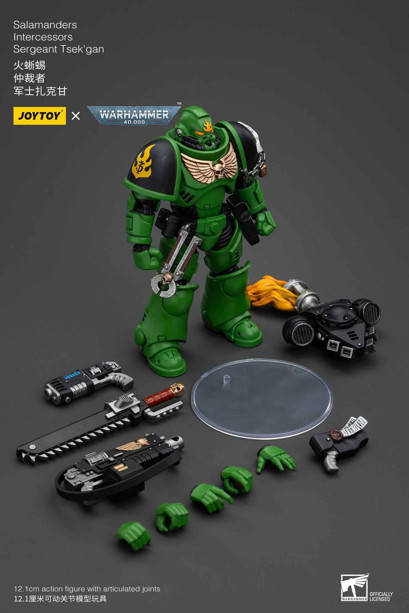 JOYTOY 3.75 Inch Warhammer 40K Salamanders Intercessors Sergeant Tsek'gan Action Figure - 1/18 Scale Collectible Model for Display & Gaming (Reissue Version) | Perfect for Warhammer Fans, Tabletop Battles & Sci-Fi Collectors