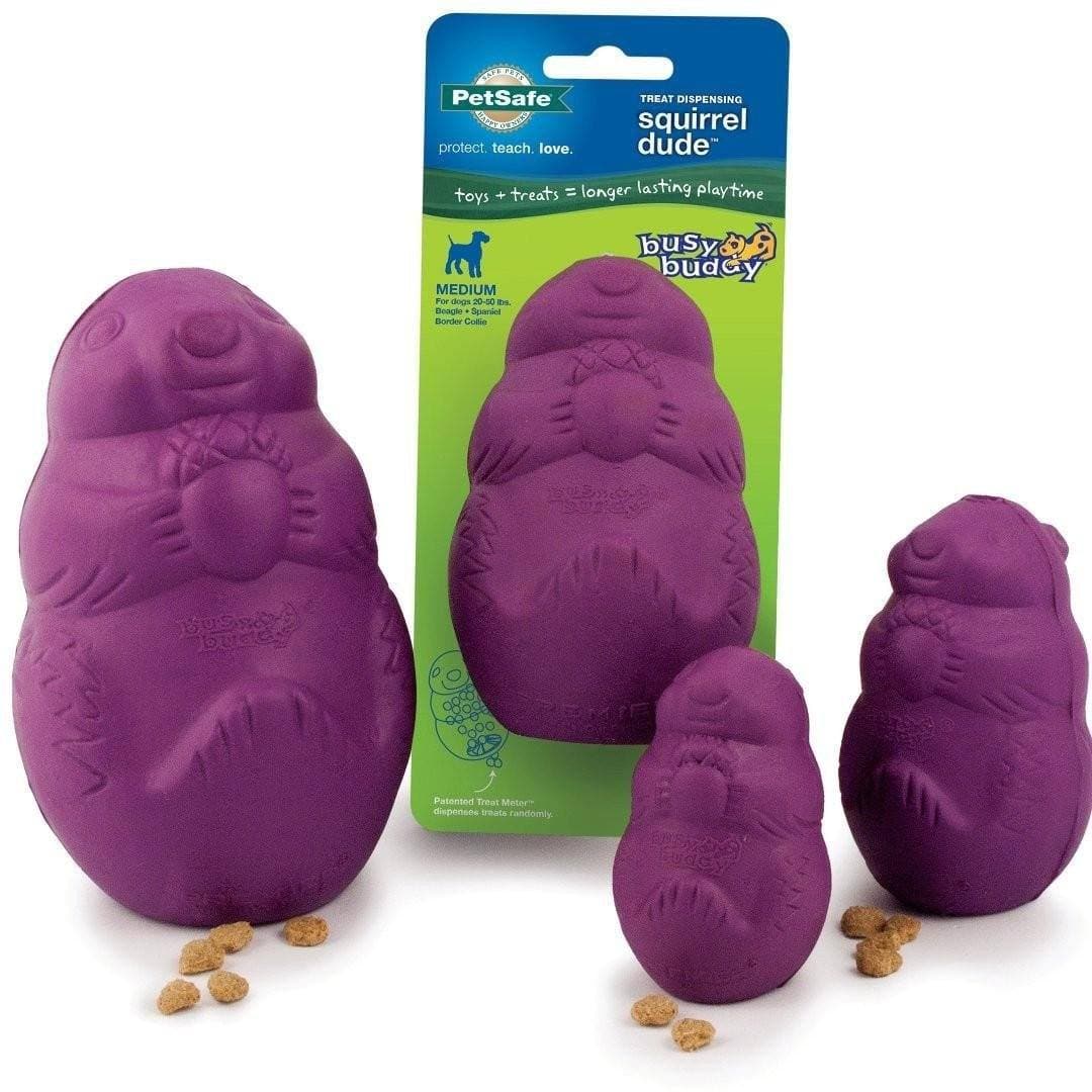 Busy Buddy® Squirrel Dude Interactive Dog Toy - Chew-Resistant Squirrel Plush for Small & Medium Dogs - Fun Puzzle Feeder for Mental Stimulation & Teeth Cleaning - Perfect for Indoor Play, Training Rewards & Anxiety Relief