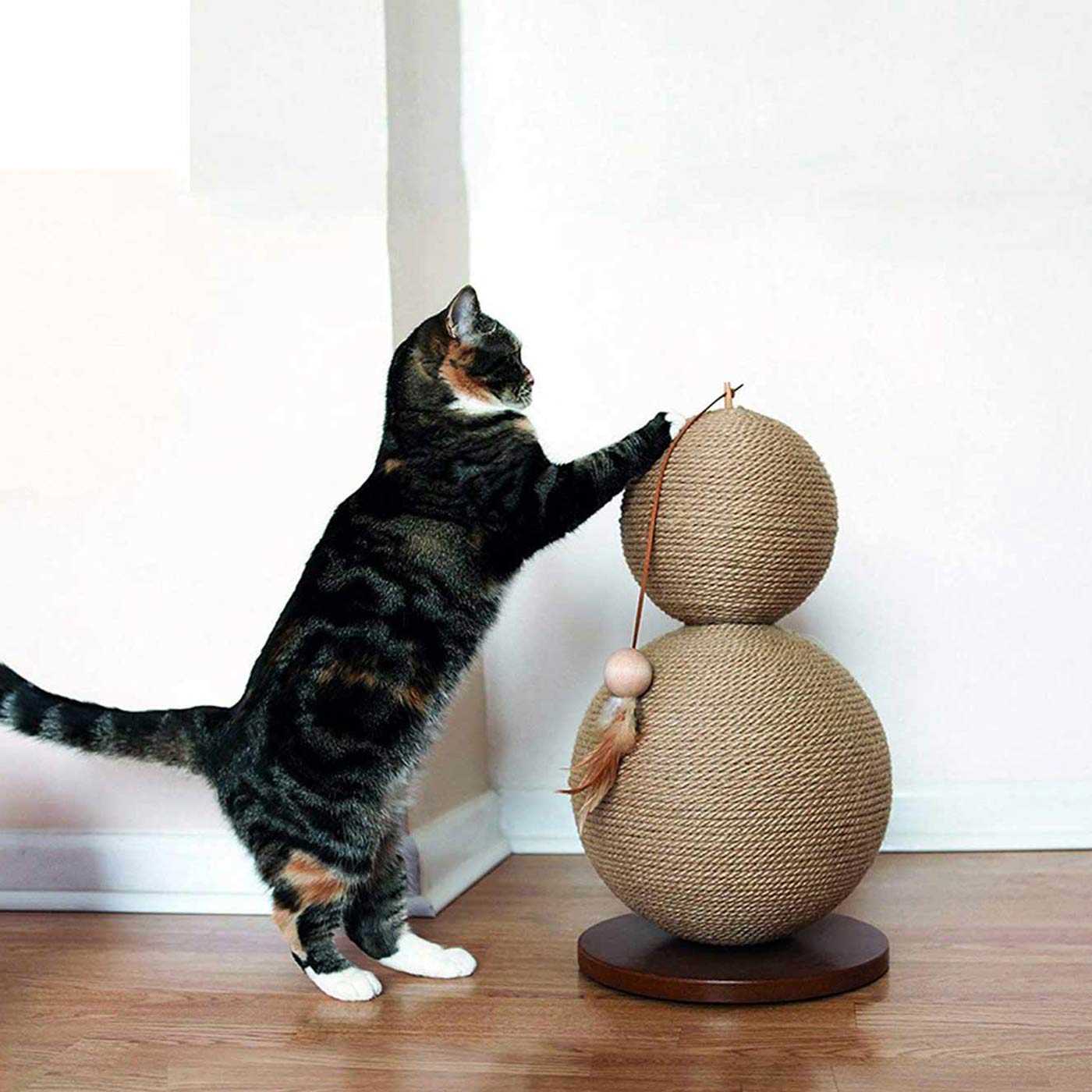 Premium Rosewood Cat Scratching Post with Coriander Scent - Durable & Natural for Indoor Cats - Perfect for Claw Maintenance & Playtime in Living Rooms & Bedrooms