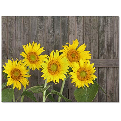 Sunflowerlop0596