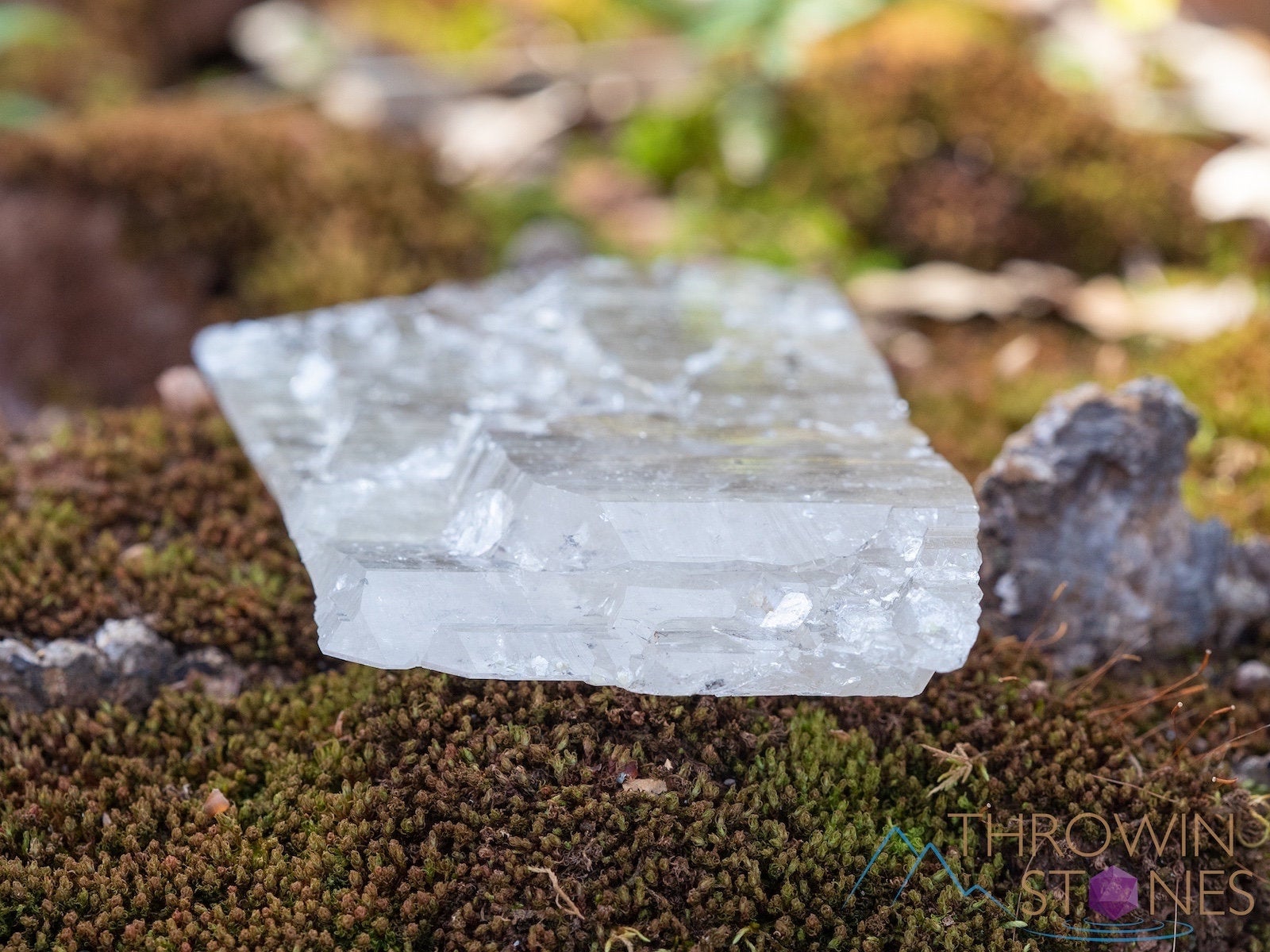 Elestial Quartz Sheet | Natural Raw Crystal for Home Decor, Housewarming Gift & Healing Stones (39761) - Perfect for Meditation, Feng Shui & Spiritual Healing