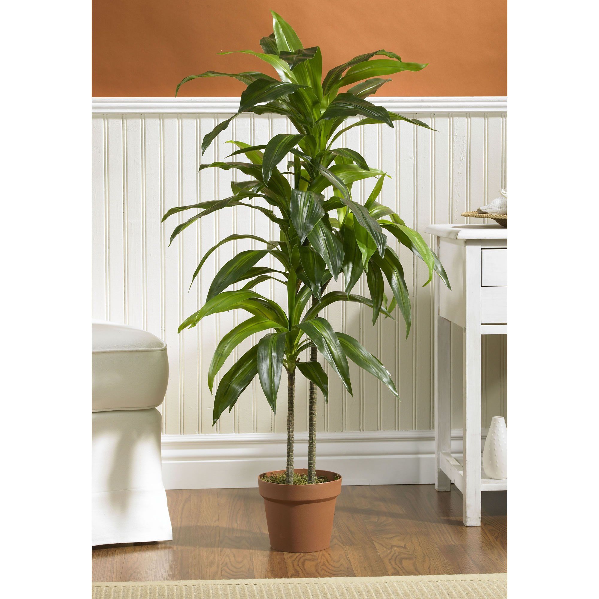 Nearly Natural 43in. Dracaena Silk Artificial Plant with Real Touch Technology - Green & Green 4855 35in. Sansevieria Artificial Plant in Black Planter - Perfect for Home Office Decor, Living Room, and Indoor Spaces