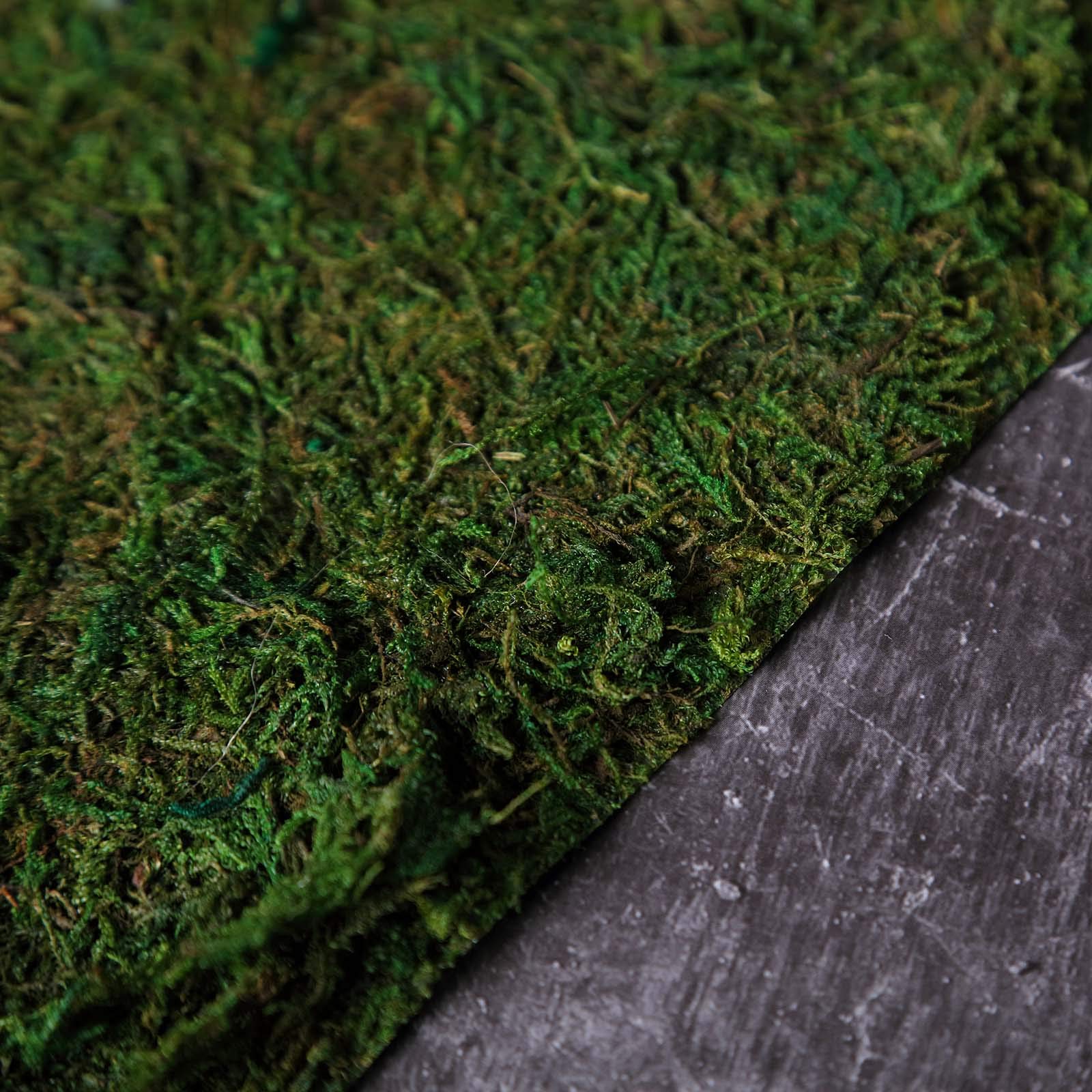 18x16 Inch Green Natural Preserved Moss Sheet - Bulk Wedding, Party & Event Decor for Centerpieces, Crafts, Wholesale Supplies | Perfect for DIY Projects, Floral Arrangements & Home Decor