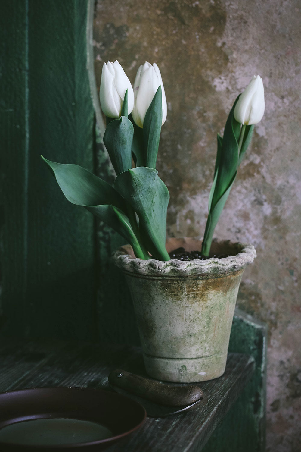 Aged Terracotta Petal Planter - Handmade Flower Pot for Indoor/Outdoor Plants, Succulents & Home Decor | Perfect for Garden, Patio, Balcony & Living Room Decor