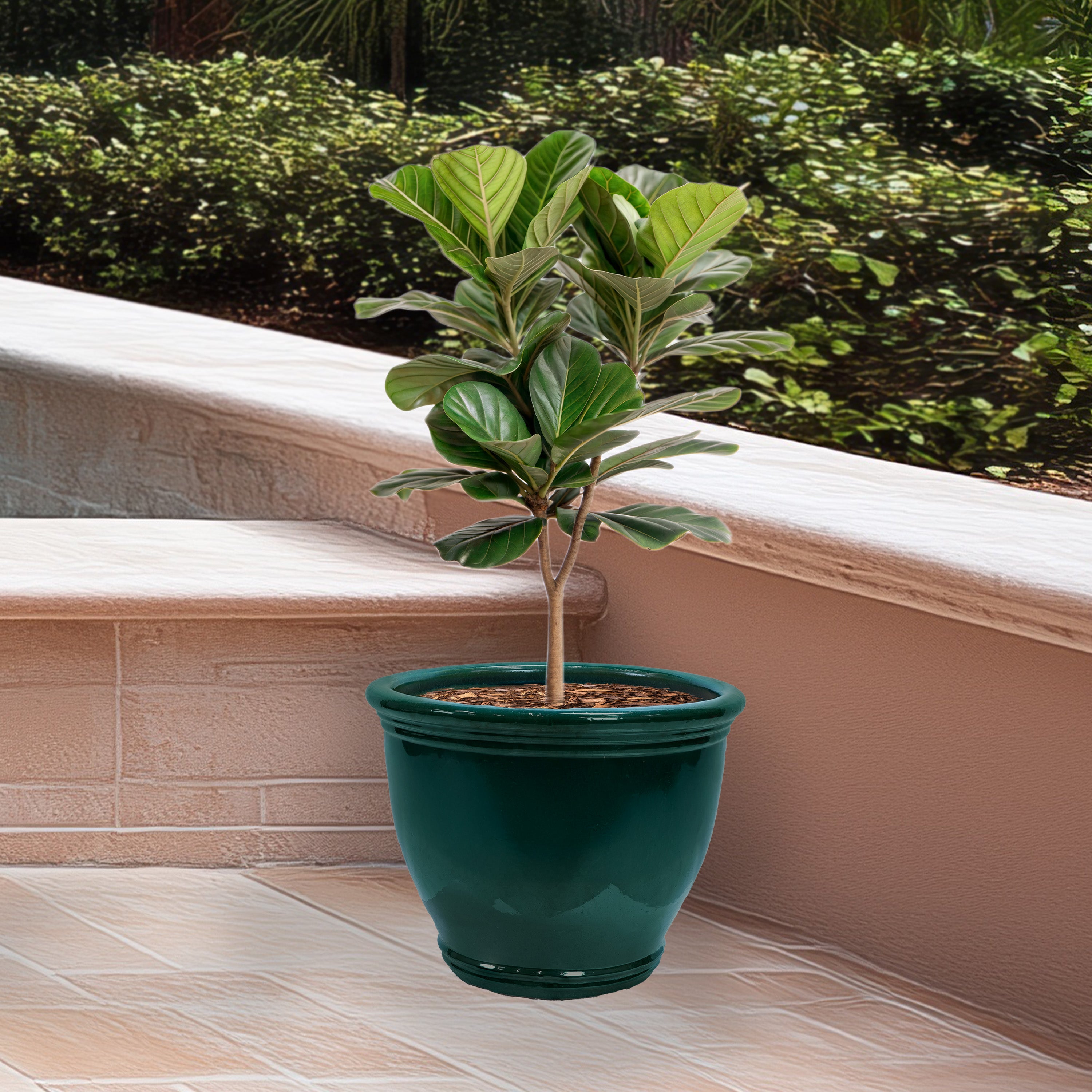 Sunnydaze Studio Round Glazed Ceramic Planter with Drainage Hole - Indoor Outdoor Flower Pot for Plants, Succulents, Herbs - Perfect for Patio, Garden, Balcony Decor