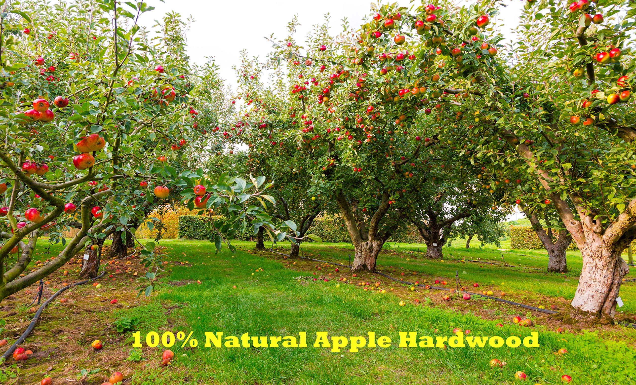 Premium Apple Wood BBQ Pellets for Smoking & Grilling - 4 lb Bag - All-Natural Hardwood for Enhanced Flavor - Perfect for Ribs, Brisket, Salmon & More