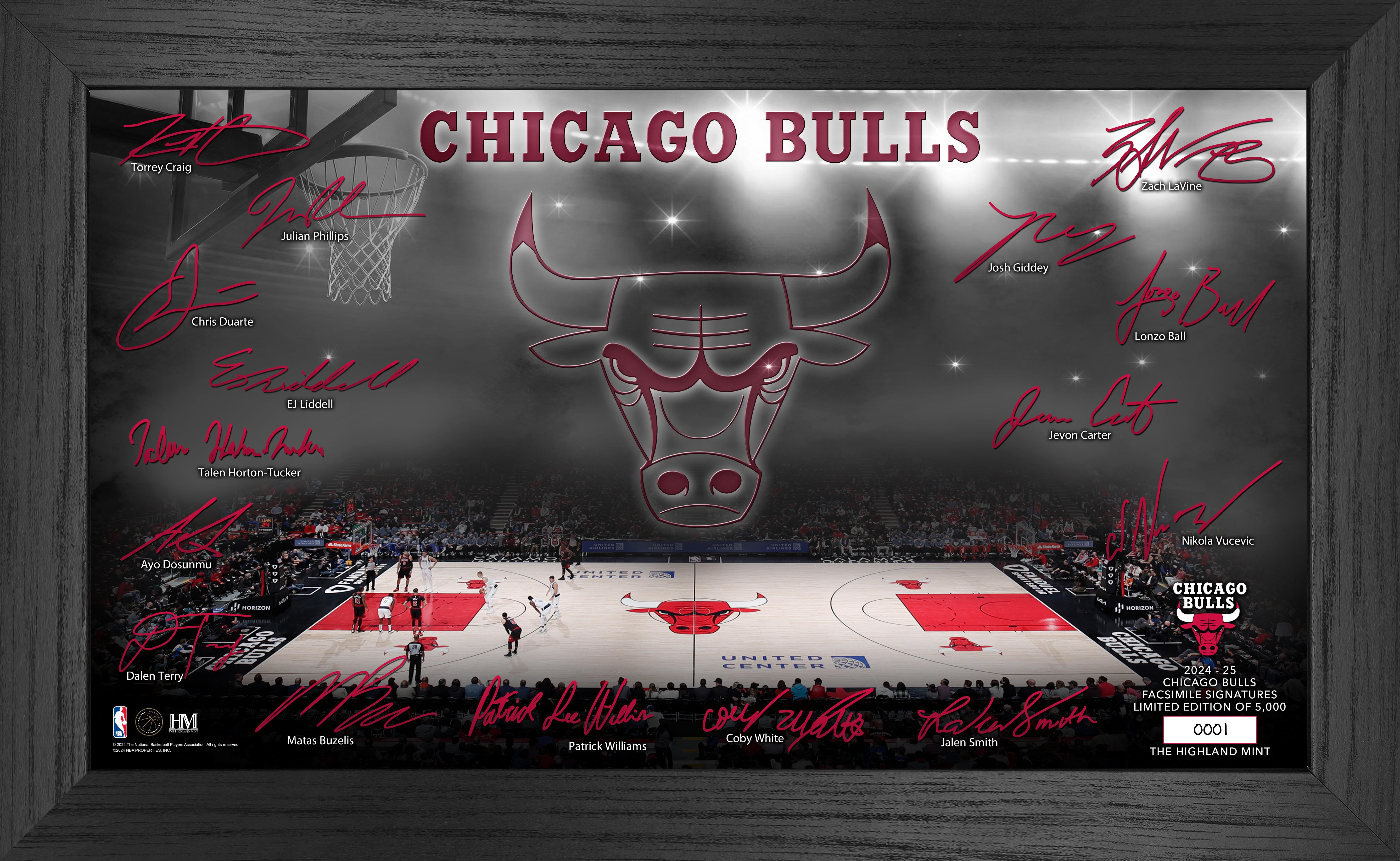 Chicago Bulls 2024-25 Signature Court Basketball Jersey - Official NBA Licensed Apparel for Men - Perfect for Games, Fan Events & Streetwear Fashion