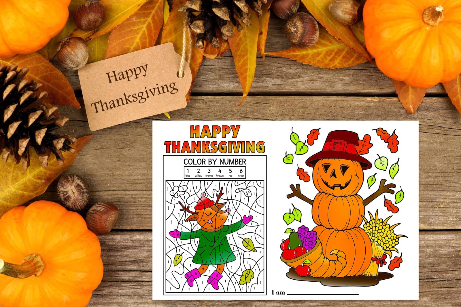 FLYAB Thanksgiving Coloring Placemats for Kids - 12 Pack 16.8