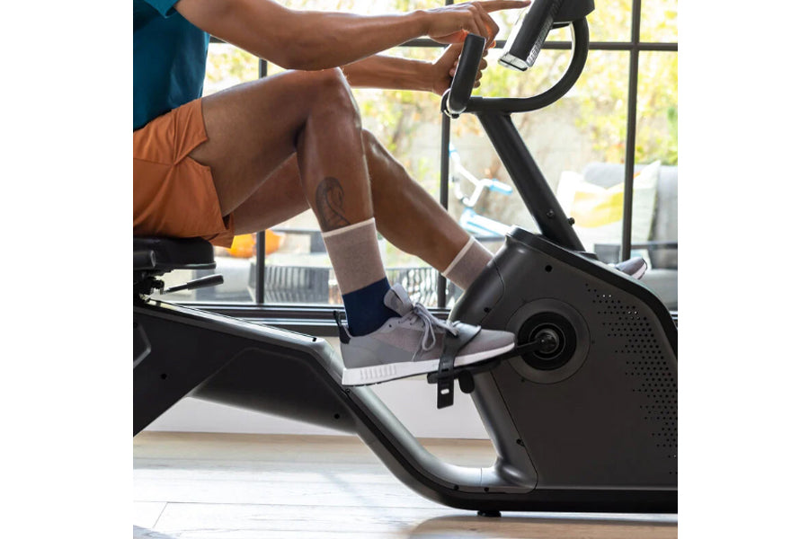 Schwinn 290 Recumbent Exercise Bike for Home Gym - Quiet Magnetic Resistance, LCD Display, 25 Levels - Perfect for Low-Impact Cardio Workouts & Physical Therapy
