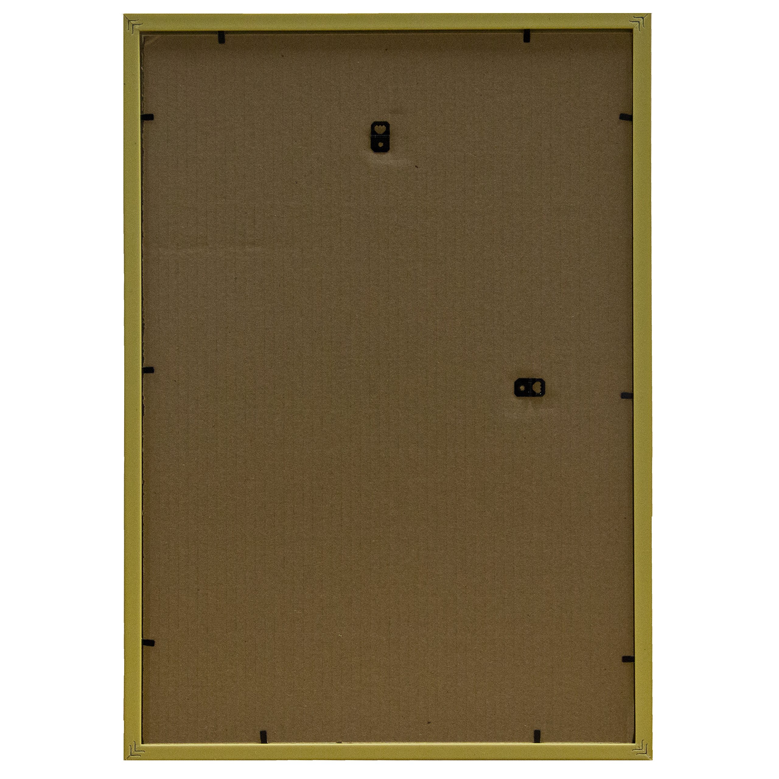 Frame USA 13x19 Deluxe Polystyrene Plastic Poster Frames (Gold) - American Made Wall Art Display for Home, Office & Classroom Decor