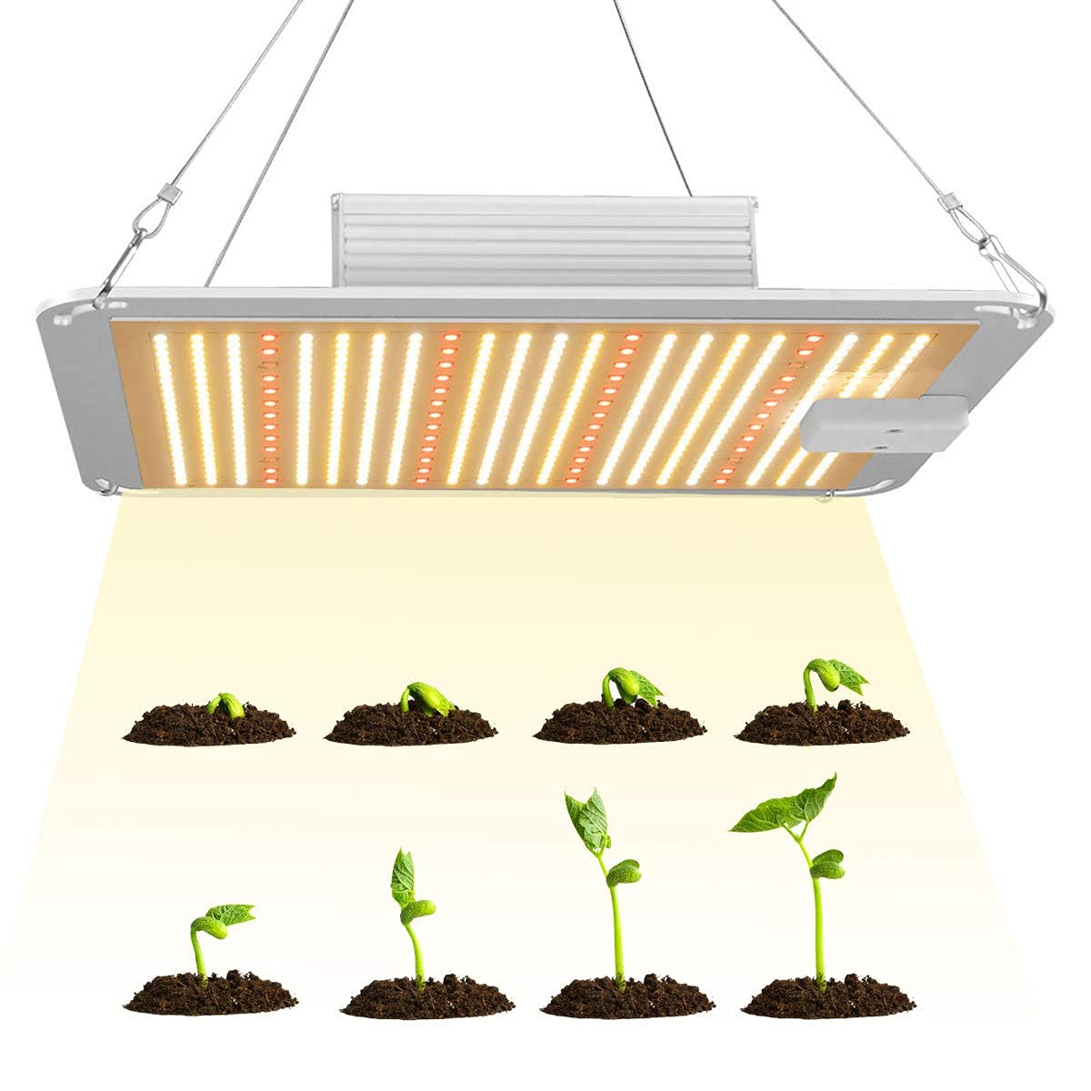 3000K Full Spectrum LED Grow Light for Indoor Plants - 100W Sunlike Plant Light for Hydroponics, Greenhouse, Seedlings, Veg & Flowering - Perfect for Home Gardening & Indoor Plant Decor
