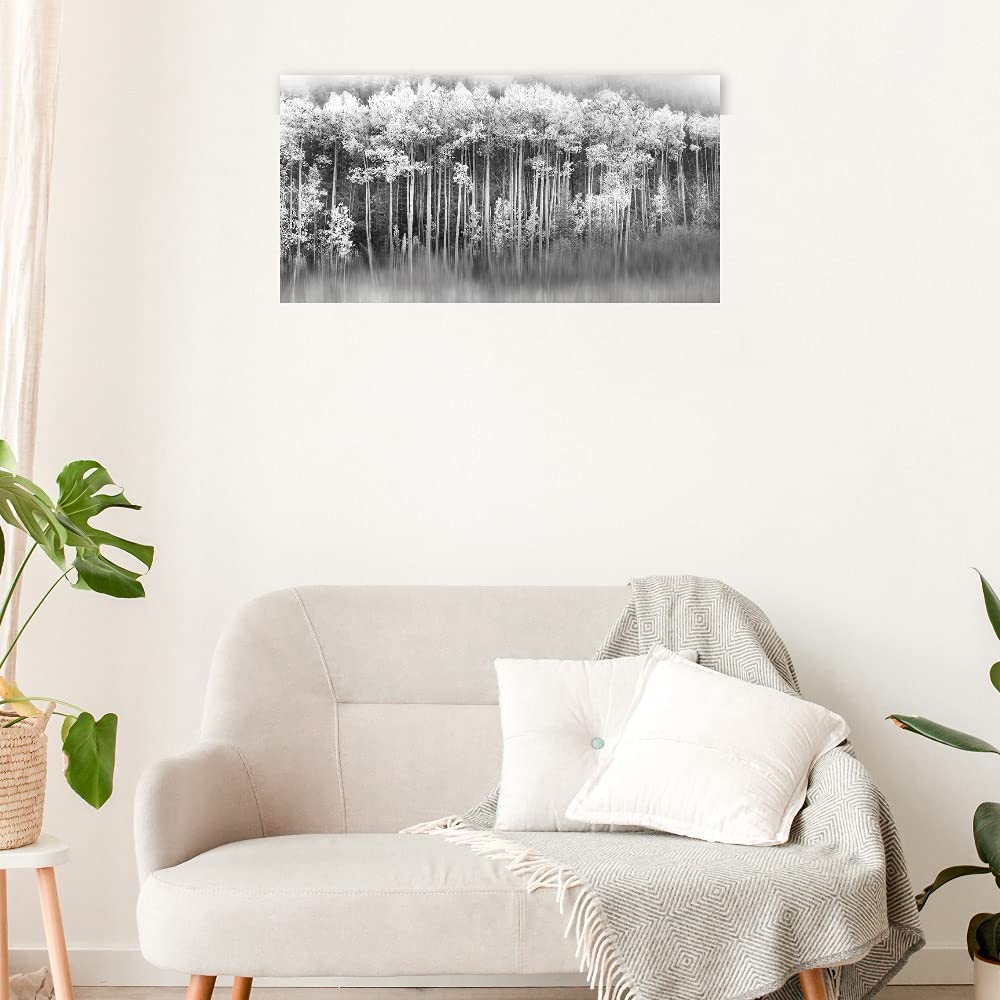 Dreamy Aspen Forest Canvas Wall Art Print by Danita Delimont - 40x21 Inch Ready to Hang Painting for Living Room, Bedroom, Office Decor - Nature Landscape Artwork for Home & Commercial Spaces