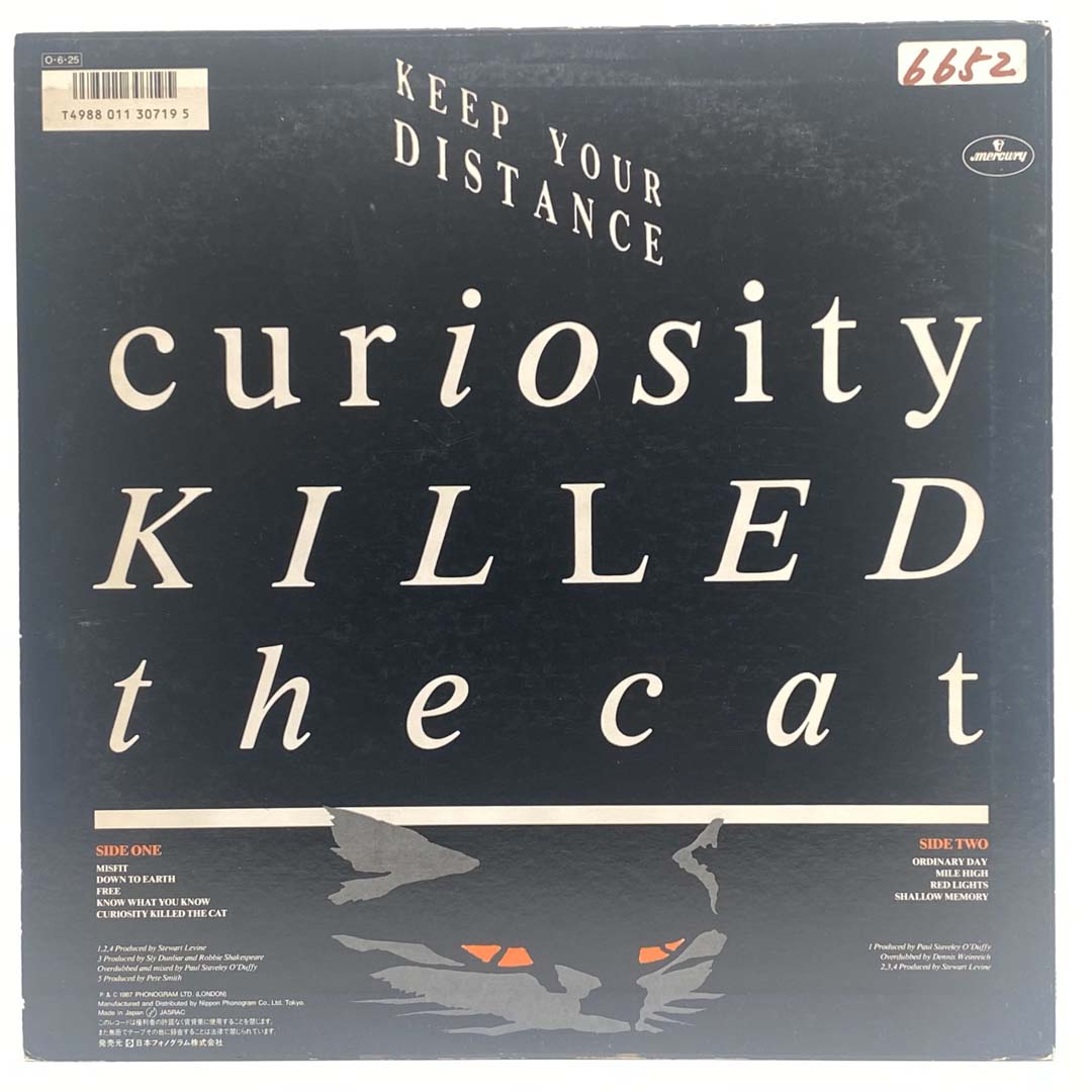 Curiosity Killed The Cat - Funny Saying T-Shirt for Cat Lovers - Perfect Gift for Pet Owners & Humor Enthusiasts