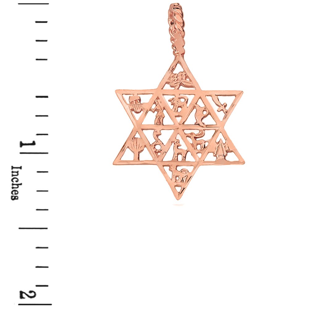 12 Tribes of Israel Star of David Pendant Necklace - Jewish Religious Jewelry for Men & Women - Perfect for Hanukkah Gifts, Bar Mitzvah & Spiritual Protection