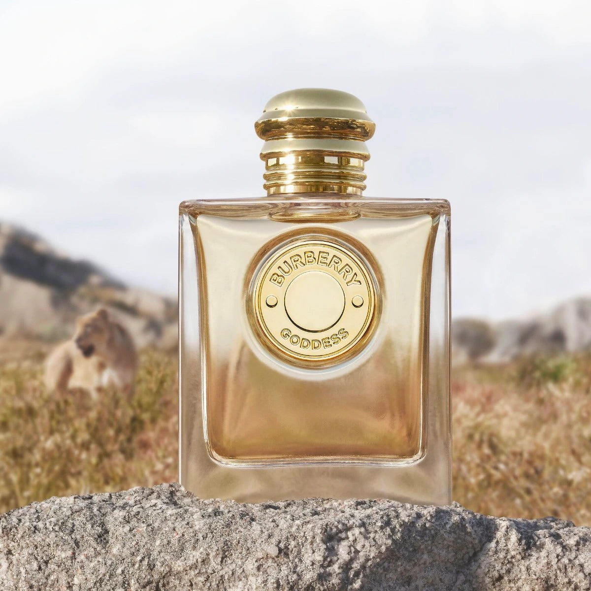 Burberry Goddess Eau de Parfum 3.3 oz for Women - Luxury Floral Vanilla Perfume for Date Night & Special Occasions