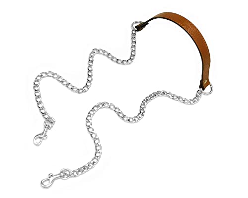 Brown-silver Buckles