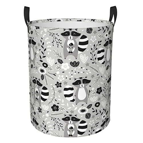 Cartoon Raccoon
