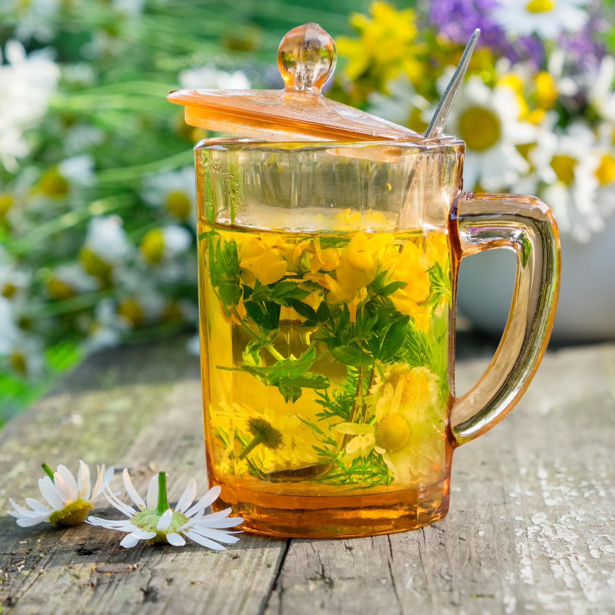 Premium Green Tea Infusion Fragrance Oil for Aromatherapy, Candles & Soap Making - Relaxing Spa & Home Scent