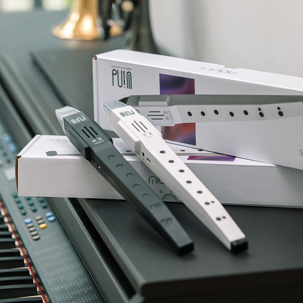 LELAMP Pocket Flute - Digital Electronic Wind Flute for Beginners - Mini Musical Instrument with Sound Imitation for Various Recorders - Perfect for Music Practice, Travel & Outdoor Performances
