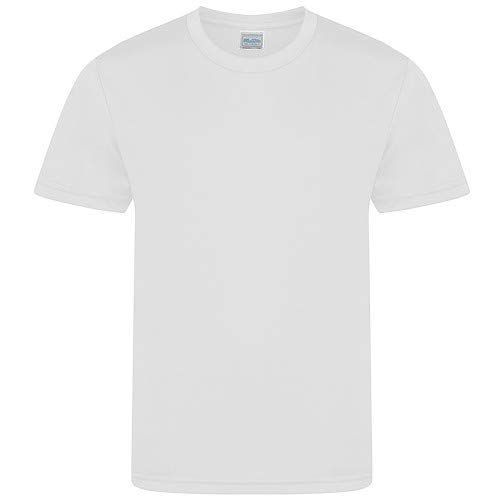 Arctic White