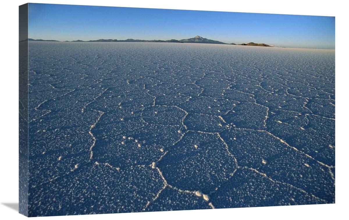 20 x 30 Inch Ancient Hexagonal Crystallization Fissures in Salar De Uyuni Salt Pan Bolivia Wall Art Print by Tui De Roy - Perfect for Living Room, Bedroom & Office Decor