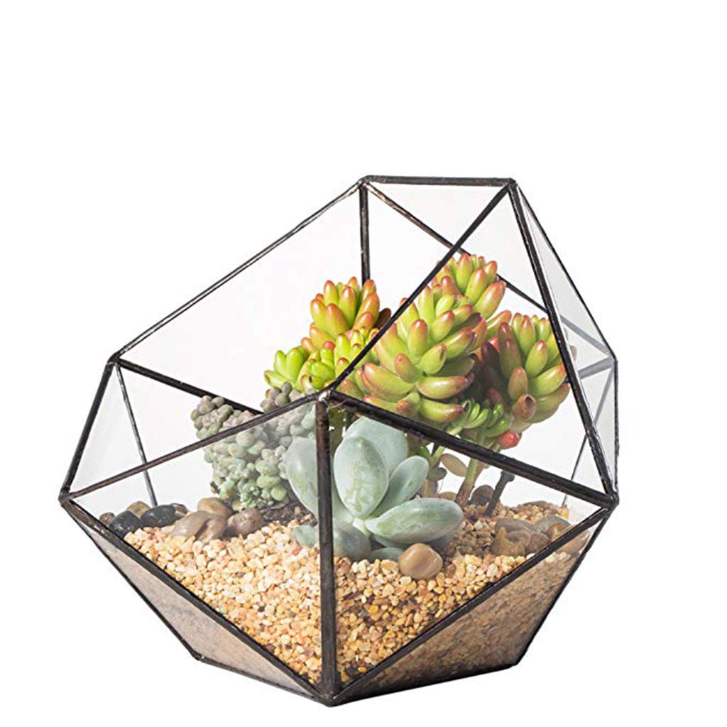 Glass Geometric Terrarium Box - Jewelry Holder & Succulent Planter for Home Decor (Black/Gold, No Plant Included) | Perfect for Tabletop Display, Wedding Centerpieces, and Office Desk Decor