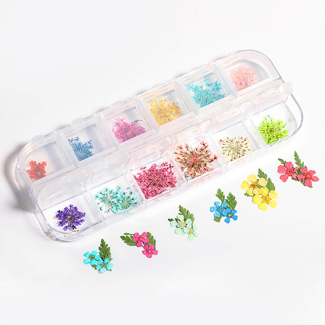 Dorakitten 3 Sets Pressed Dried Flower Nail Art Decorations - Floral Nail Art Supplies & Accessories for DIY Manicure, Wedding, Party Nail Designs