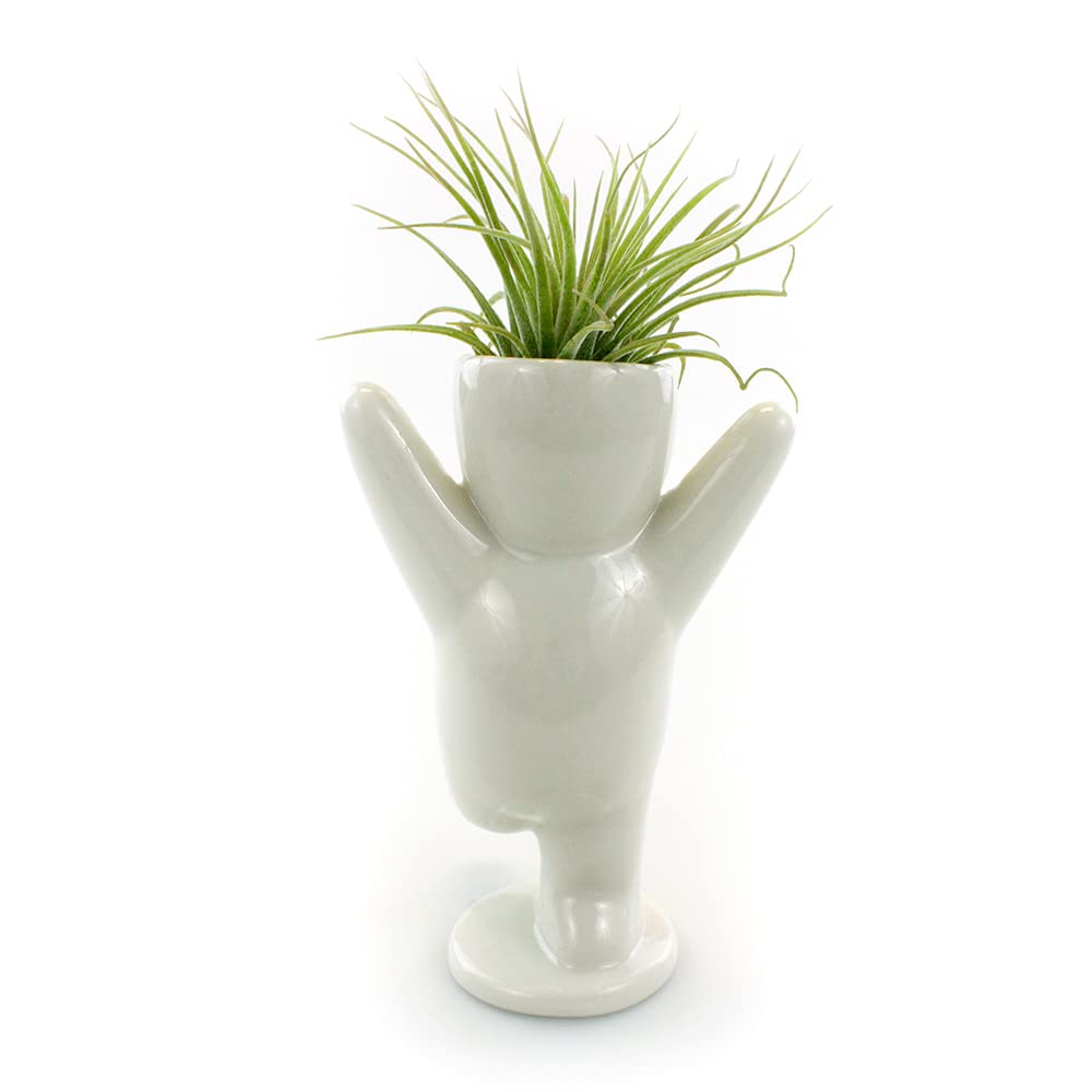Happy Person Shaped Ceramic Planter (3.25 Inch) with Live Tillandsia Air Plant - White Indoor Air Plant Holder for Home, Office Desk & Shelf Decor - Perfect for Gifts, Zen Gardens & Boho Home Decor