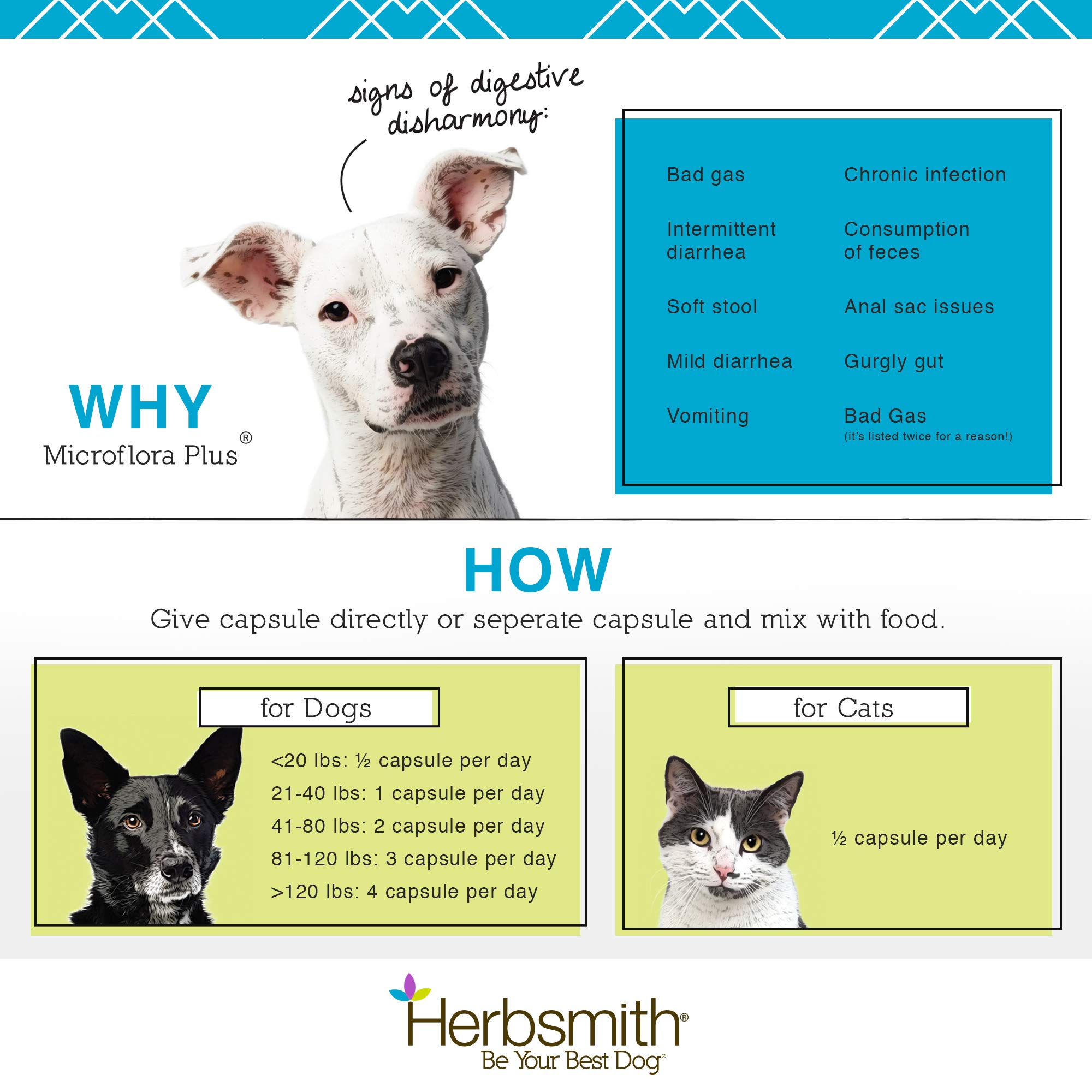 Herbsmith Microflora Plus Probiotics for Dogs – Digestive Enzymes & Prebiotics Supplement – 30 Capsules – Supports Gut Health & Digestion – Ideal for Sensitive Stomachs & Dietary Transitions