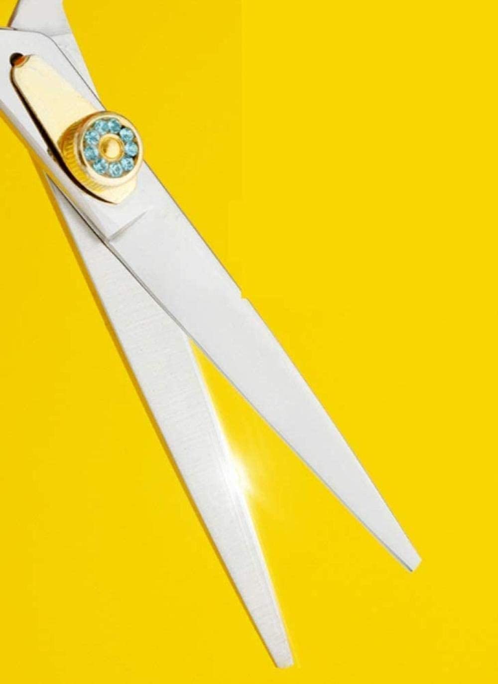 Professional 6 Inch Barber Scissors Set - Stainless Steel Hair Cutting & Thinning Scissors for Salon & Home Hairdressing | Perfect for Stylists, Barbers & DIY Haircuts