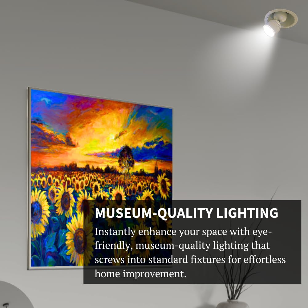Method Lights ML-Direct Plus Screw-in LED Picture Light - Dimmable Art Lighting for Home Improvement, Gallery & Studio Decor | Perfect for Displaying Paintings, Photos & Wall Art