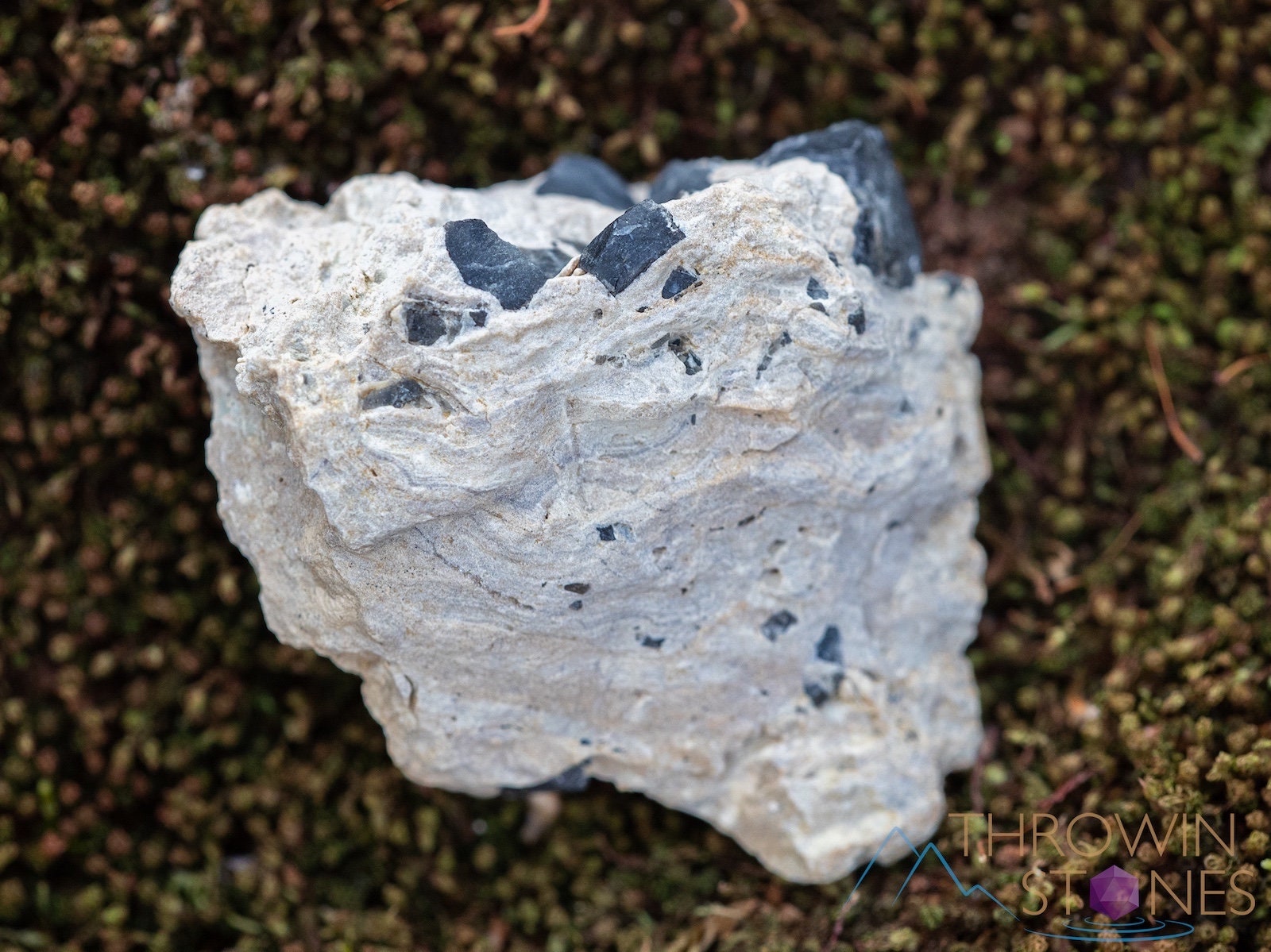 Natural MORION SMOKY QUARTZ Raw Crystal Cluster - Healing Stone for Home Decor, Housewarming Gift & Energy Healing (39865) | Perfect for Meditation, Feng Shui & Spiritual Practices