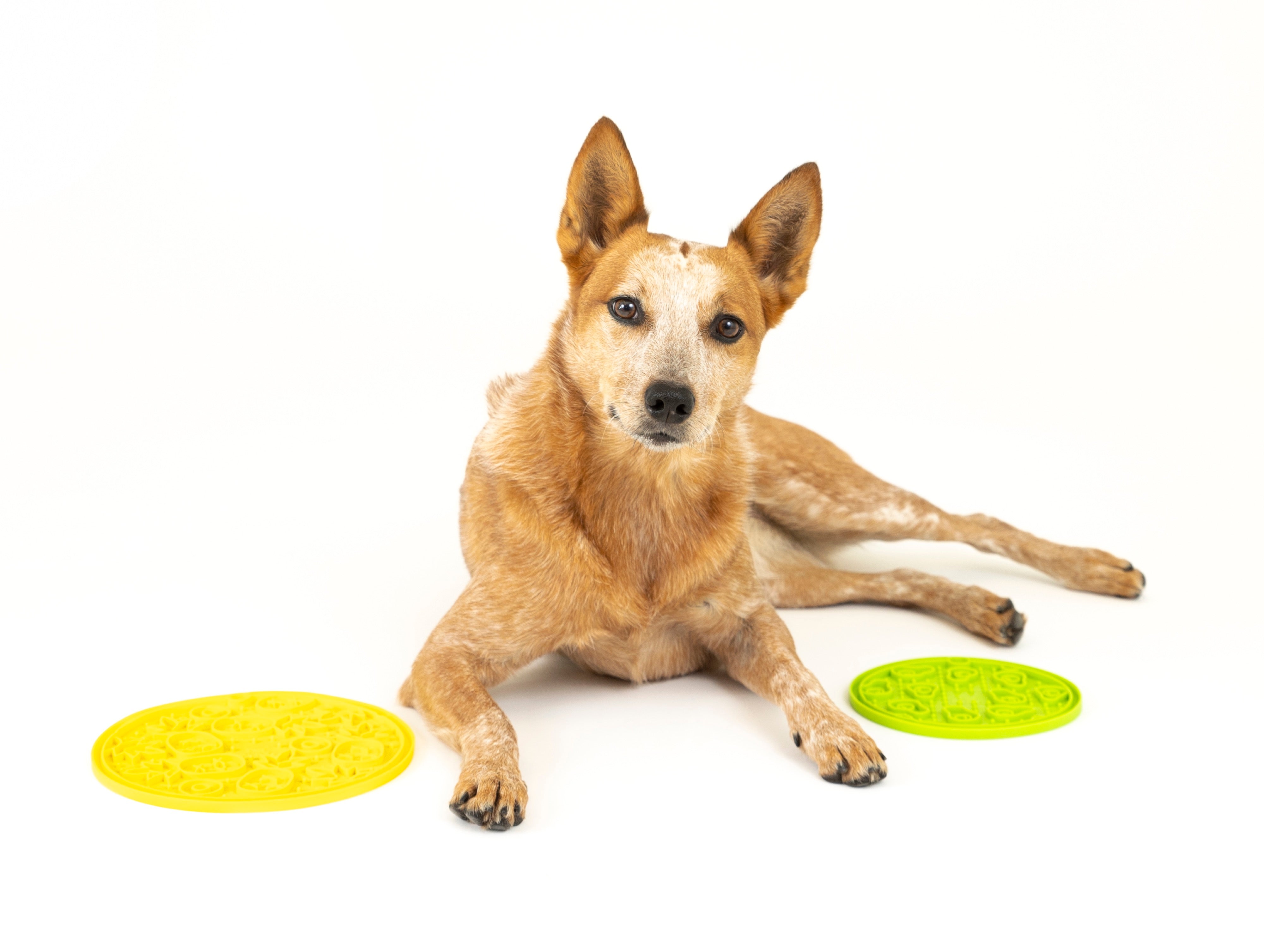 EverLick Slow Feeder Mat for Dogs and Cats - Avocado (Small) & Pineapple (Large) | Pet P.L.A.Y. - Interactive Puzzle Toy for Mealtime Fun & Mental Stimulation