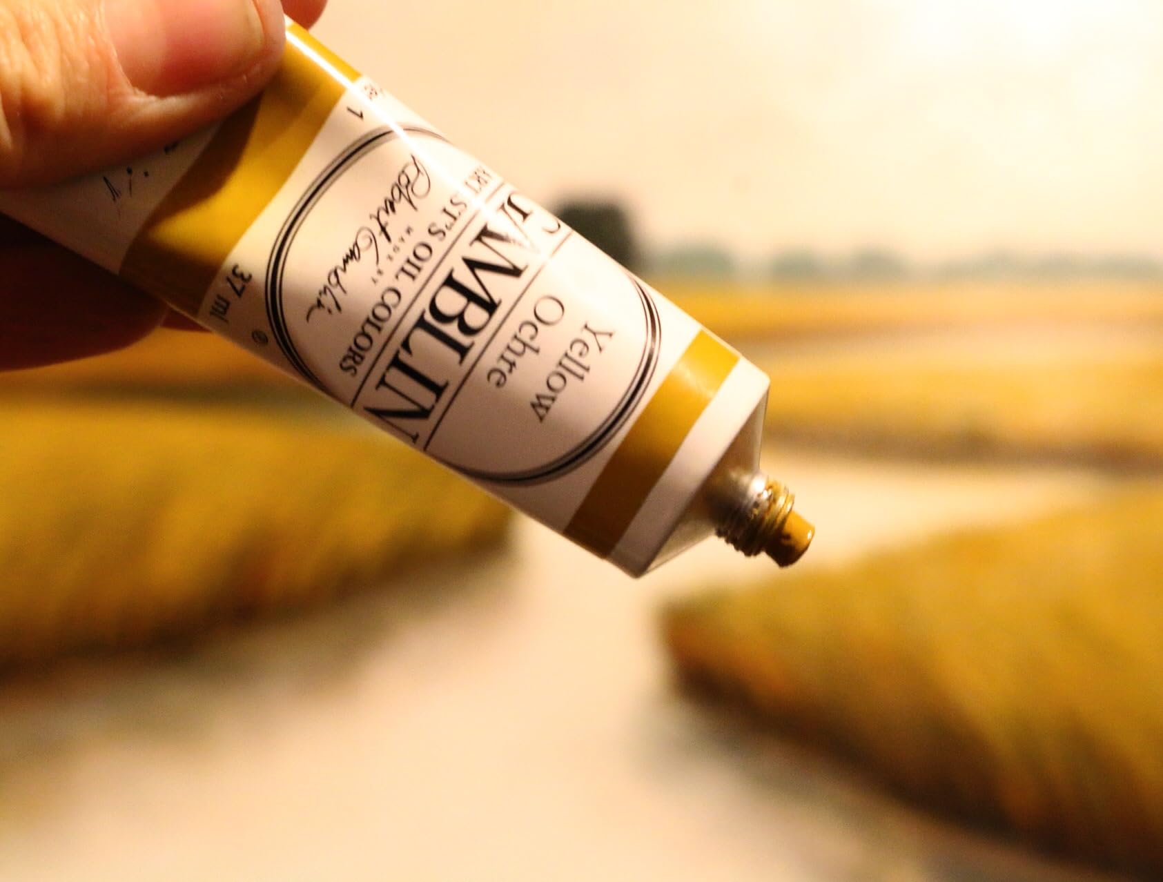 Gamblin Professional Artist Oil Paint Set - Earth Tones - 37ml Tubes (Ideal for Landscape Painting & Studio Artwork)