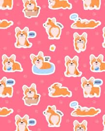 Corgi Breed