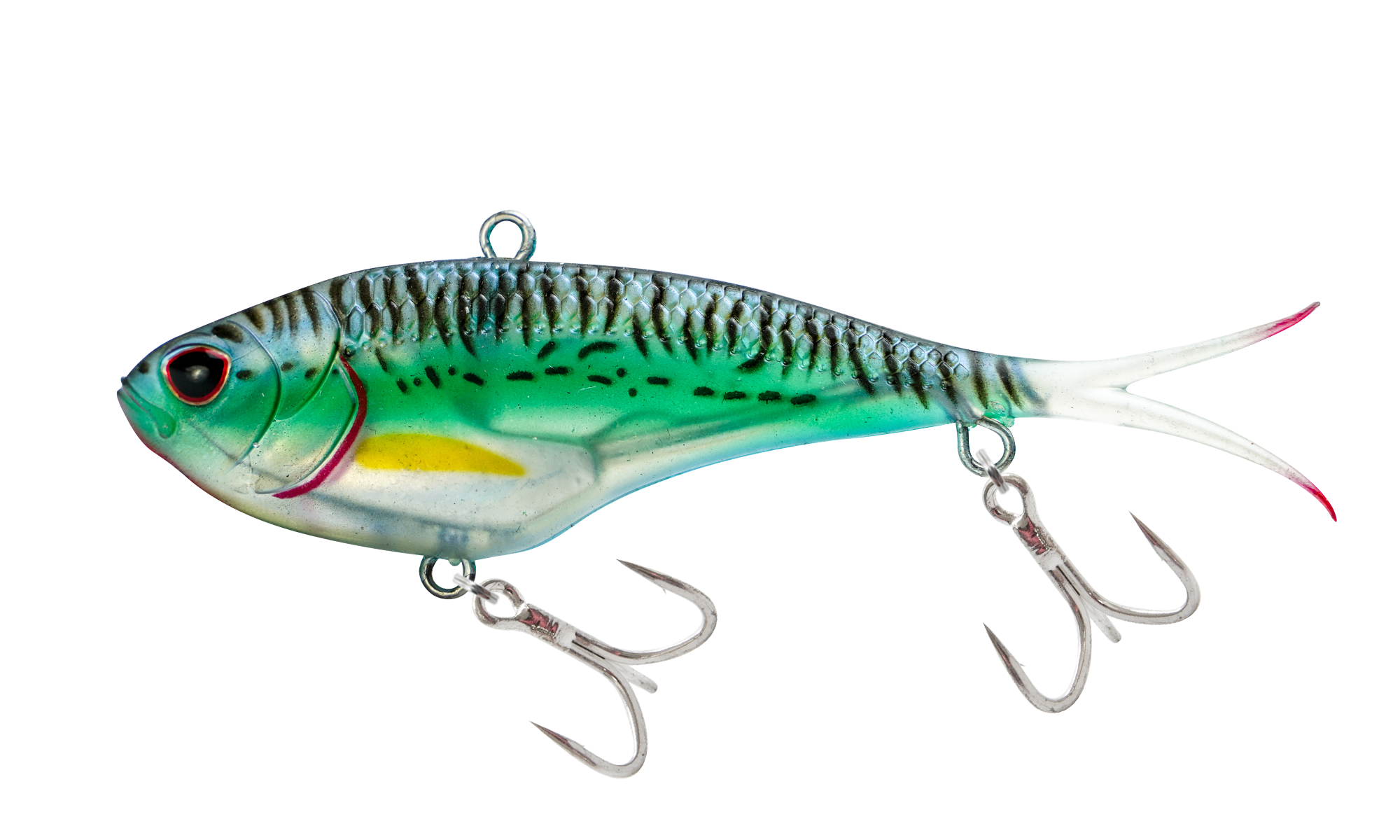 Silver Green Mackerel