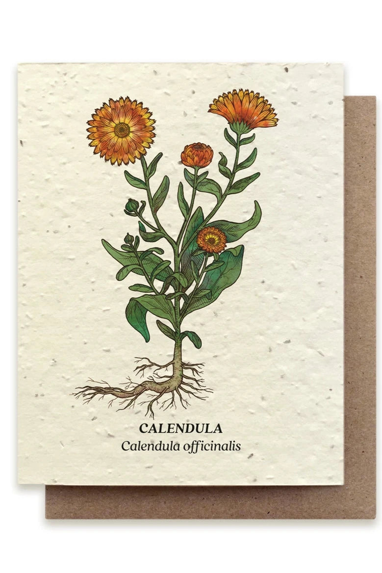 Eco-Friendly Calendula Seeded Greeting Card - Plantable Wildflower Gift for Birthdays, Weddings & Thank You Notes - Sustainable Stationery for Eco-Conscious Shoppers