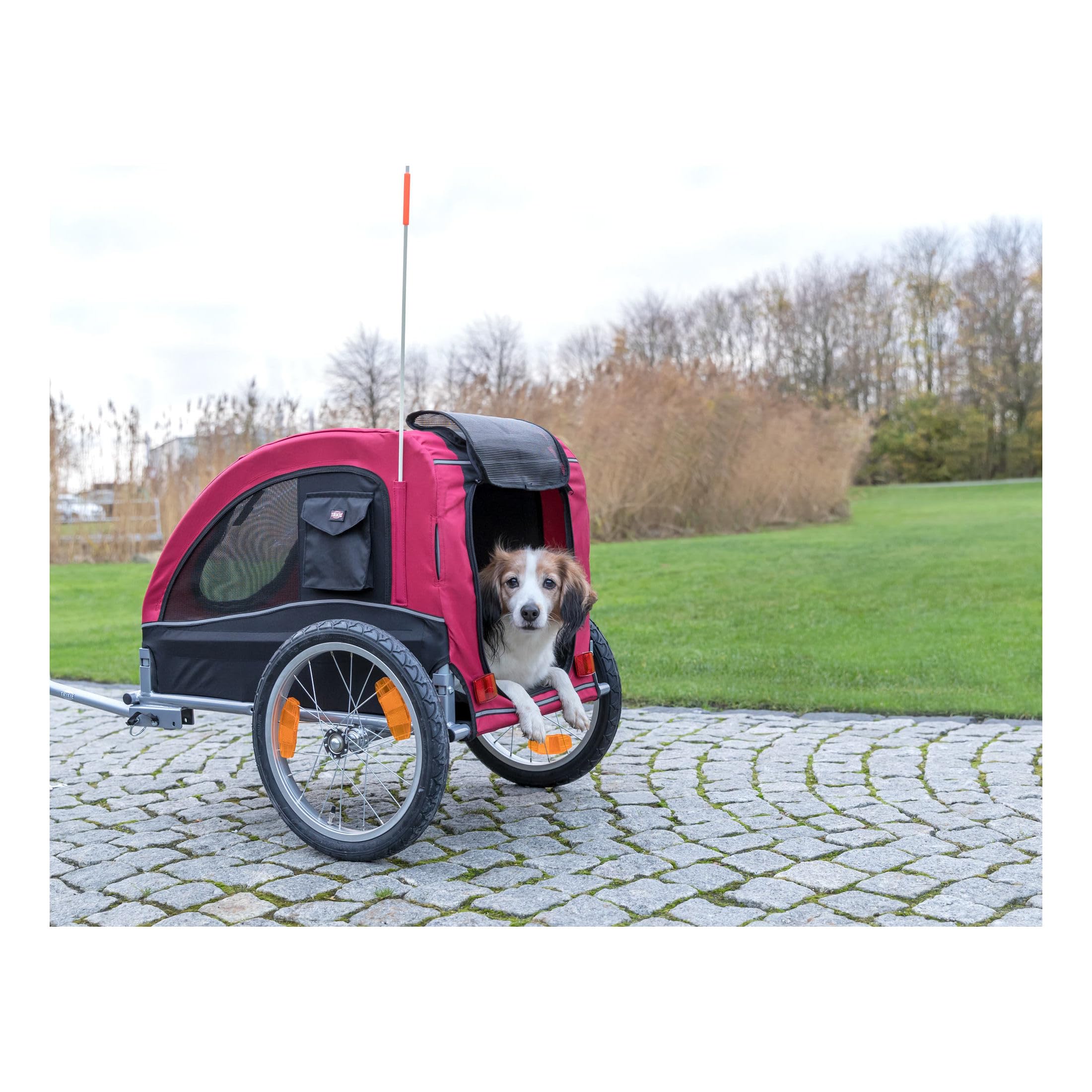 TRIXIE Convertible Dog Bike Trailer & Pet Stroller for Small to Medium Dogs up to 48 lbs - Lightweight, Quick Setup, Foldable Design - Perfect for Cycling, Jogging & Outdoor Adventures (Red)