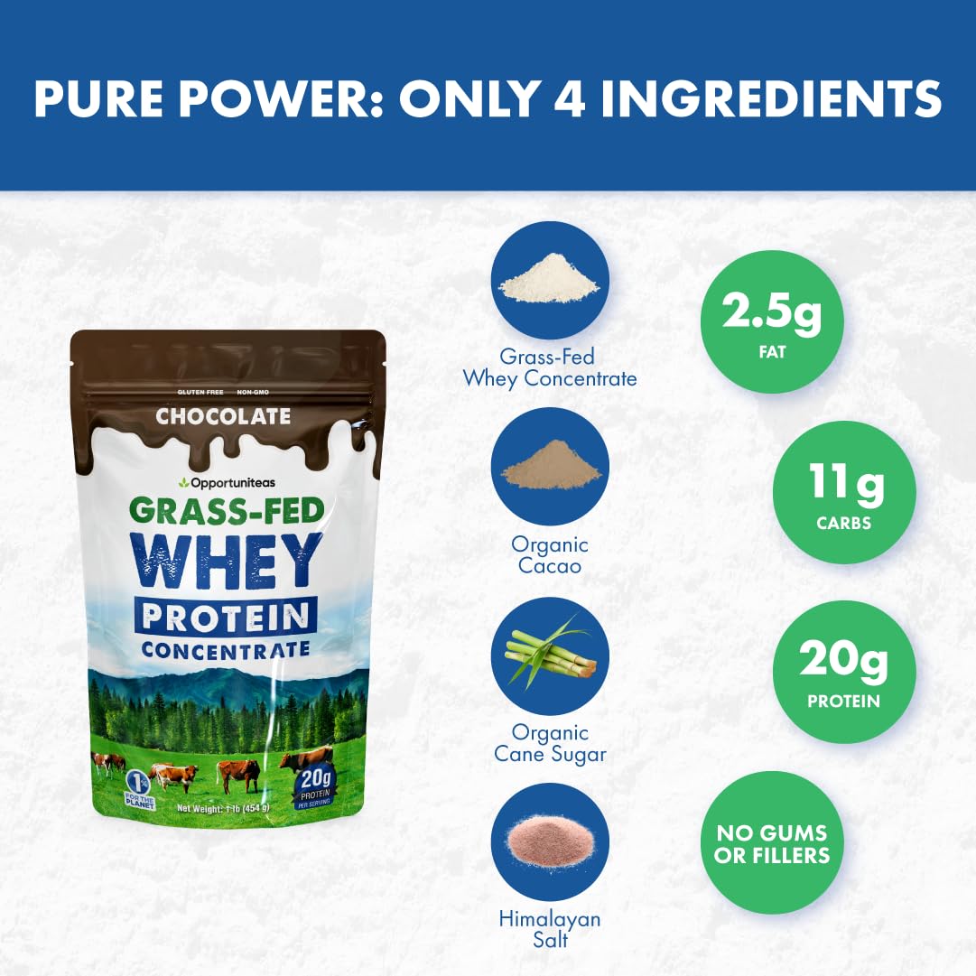 Grass Fed Whey Protein Powder Concentrate - Chocolate Flavor - Pure Protein Supplement for Muscle Recovery & Growth - Non-GMO, Hormone Free, Gluten Free - 1lb - Perfect for Post-Workout Shakes & Healthy Smoothies