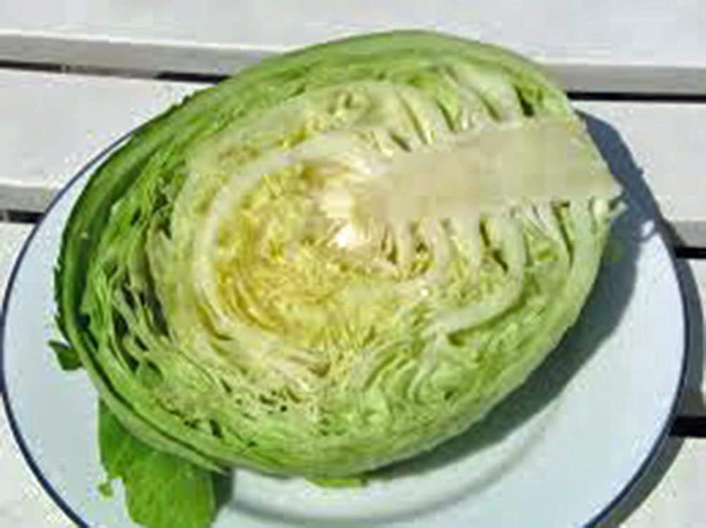 50+ Copenhagen Market Cabbage Seeds - Heirloom, Non-GMO, Organic Vegetable Seeds for Home Garden, Healthy & Tasty Veggies - Perfect for Salads, Soups, and Fermenting (Sauerkraut)